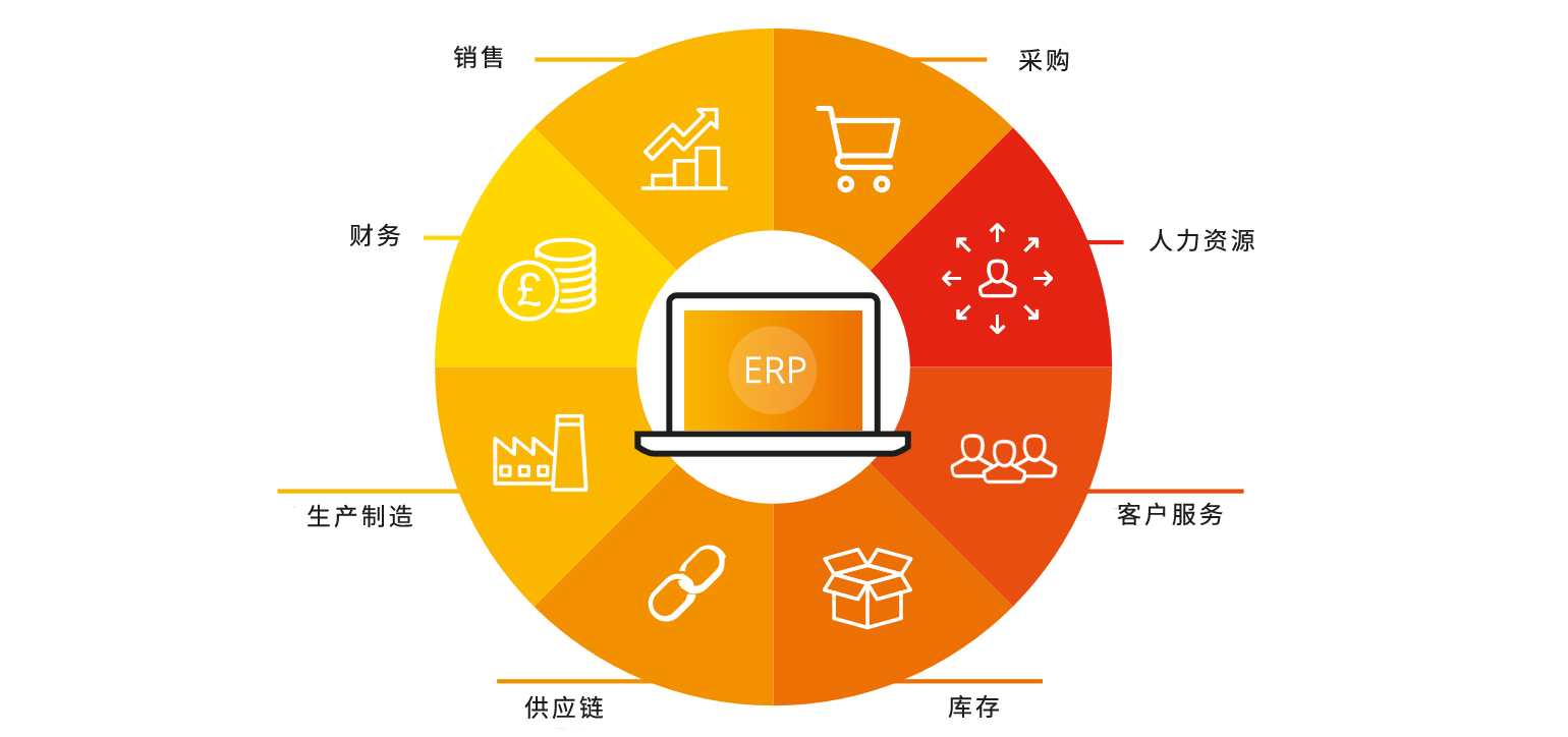 sap erp解決方案
